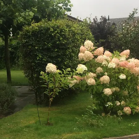 Bergen 別荘 スコールル