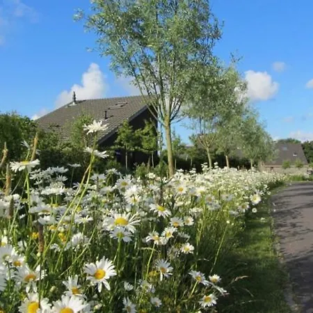 Holiday home Bergen Holiday Schoorl