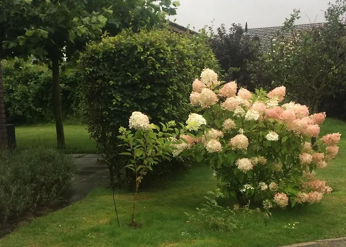 Bergen Tatil Evi Schoorl