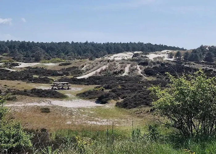 Bergen Tatil Evi Schoorl