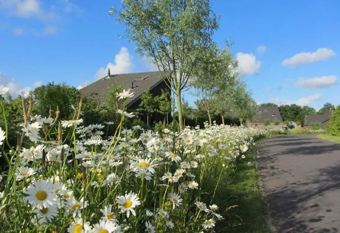 Tatil Evi Bergen Schoorl